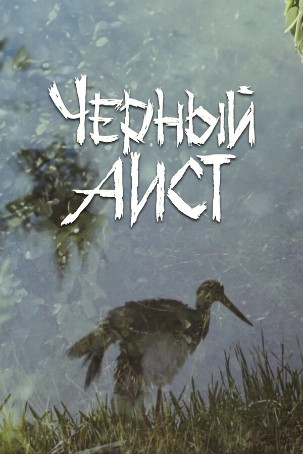 Черный аист